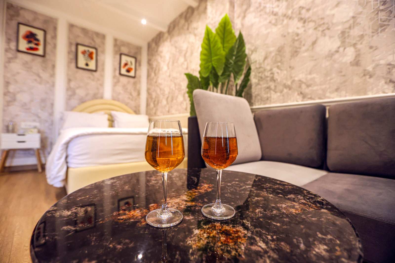 Luxury Accommodation in South Delhi